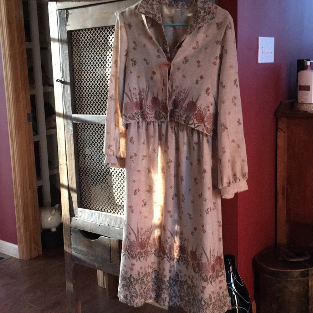 Vintage 1970 dress size Medium no tag Melissa Lane is the designer.